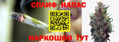 ПСИЛОЦИБИНОВЫЕ ГРИБЫ Рязань