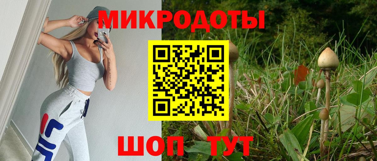 Россия  Галлюциногенные грибы прущие грибы  Вход с VPN 