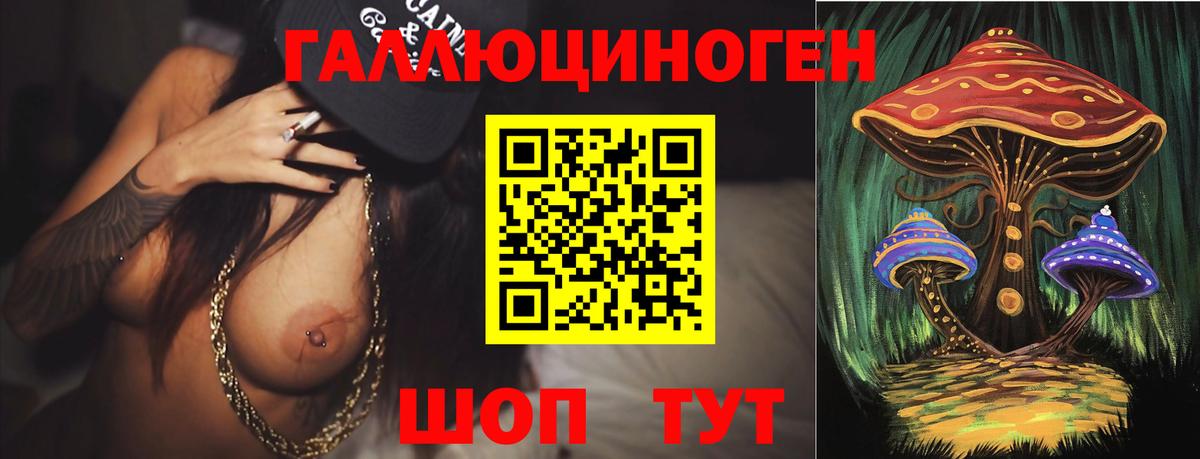 Псилоцибиновые грибы Psilocybe Россия