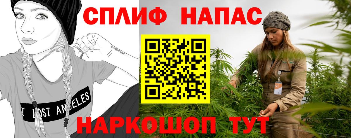 Бошки марихуана план Россия